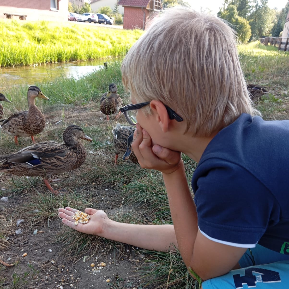 Entenfüttern ambulant_quadrat